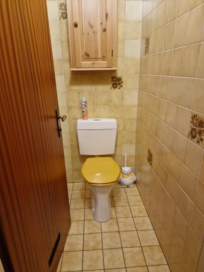 Appartment Christine Bad Aussee Zewnętrze zdjęcie